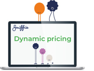Webinar on dynamic pricing in ecommerce